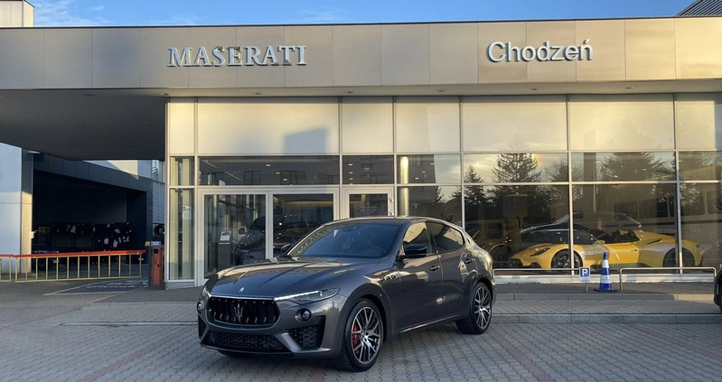 Maserati Levante cena 185659 przebieg: 8, rok produkcji 2024 z Prabuty małe 92